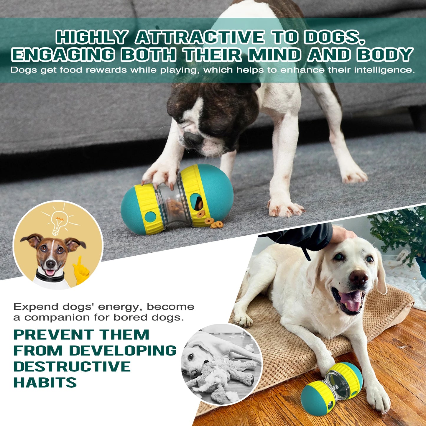 Distribuidor de petiscos para cães de pequeno, médio e grande porte, brinquedo interativo para treinamento de QI em ambientes internos, produto para Labrador e Chihuahua