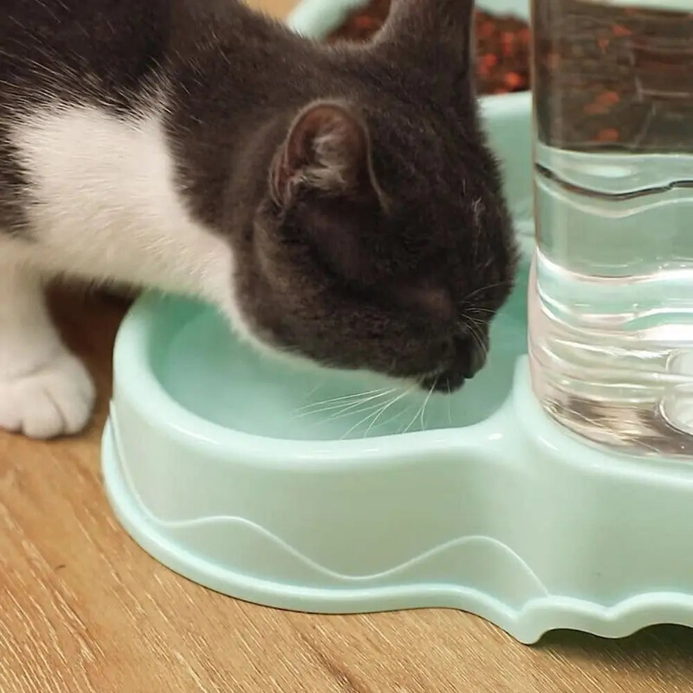 Alimentador para animais de estimação de 3,8L em PP, fonte de água para animais de estimação, tigela para beber, alimentador automático para animais de estimação, grande dispensador de comida para cães e gatos