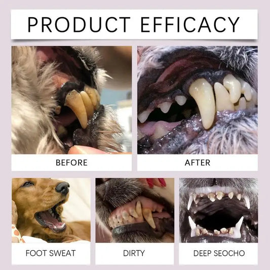 Caneta para limpeza de dentes de animais de estimação Caneta dental para animais de estimação Caneta para escova de dentes de cachorro Caneta refrescante para clareamento de dentes de gato Suprimentos para animais de estimação