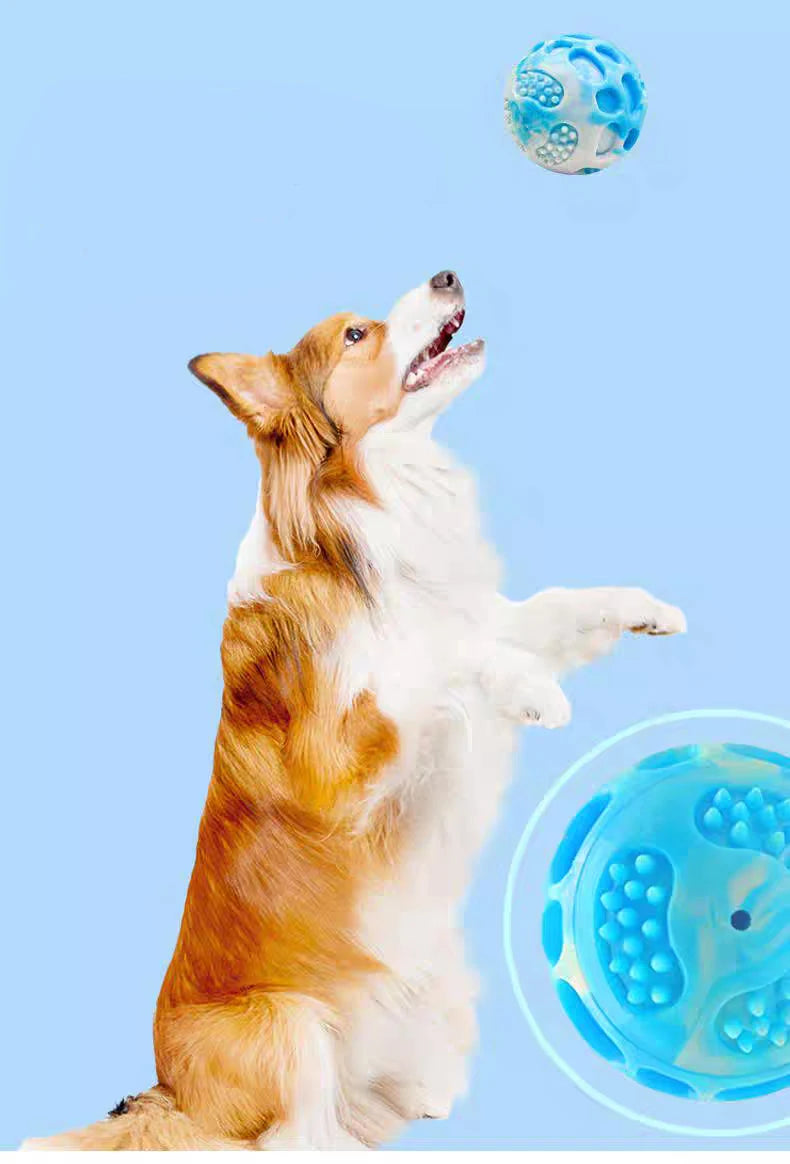 Os brinquedos para cães de estimação são resistentes e duráveis, podem aliviar o desconforto da dentição e são adequados para uso durante o treinamento ao ar livre.