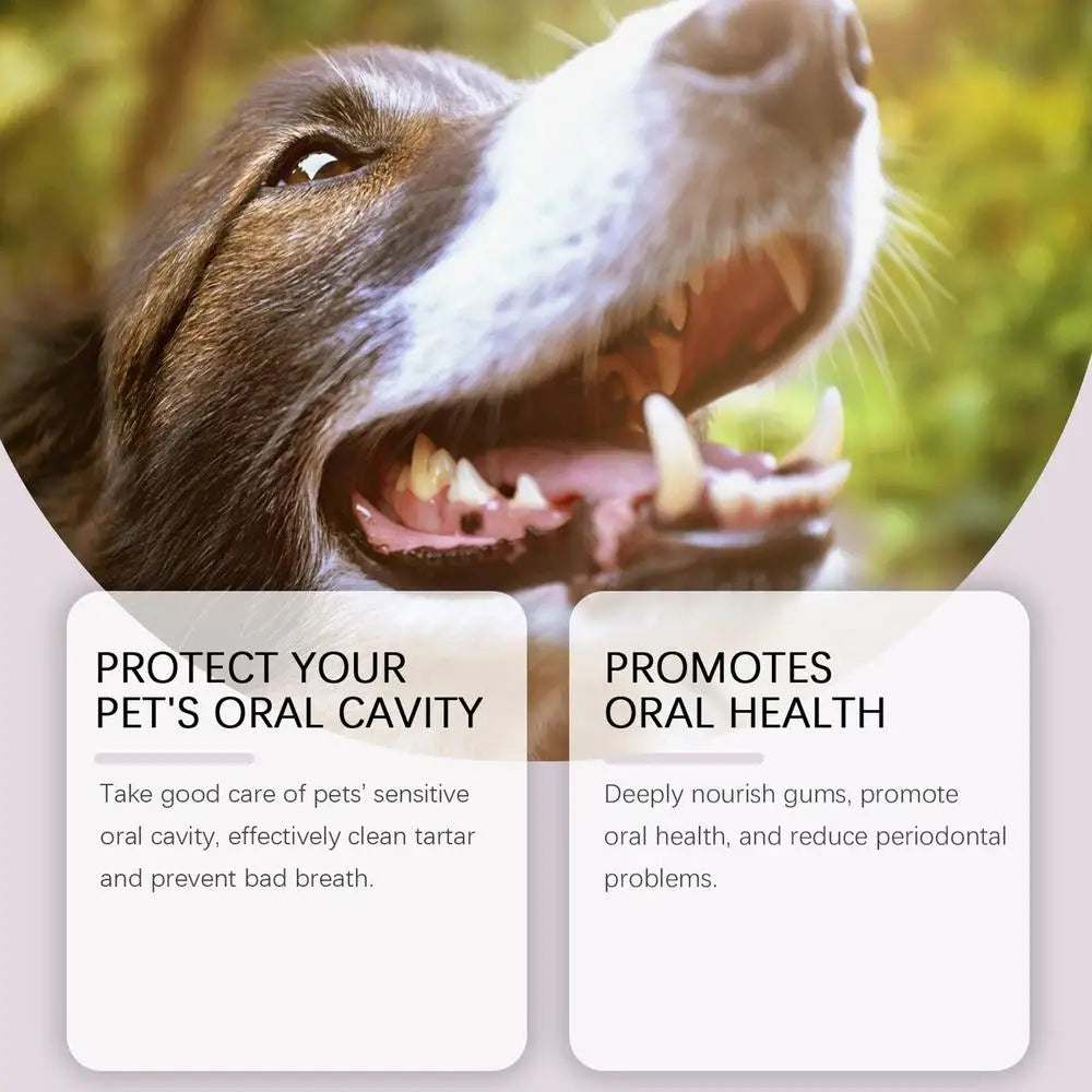 Caneta para limpeza de dentes de animais de estimação Caneta dental para animais de estimação Caneta para escova de dentes de cachorro Caneta refrescante para clareamento de dentes de gato Suprimentos para animais de estimação
