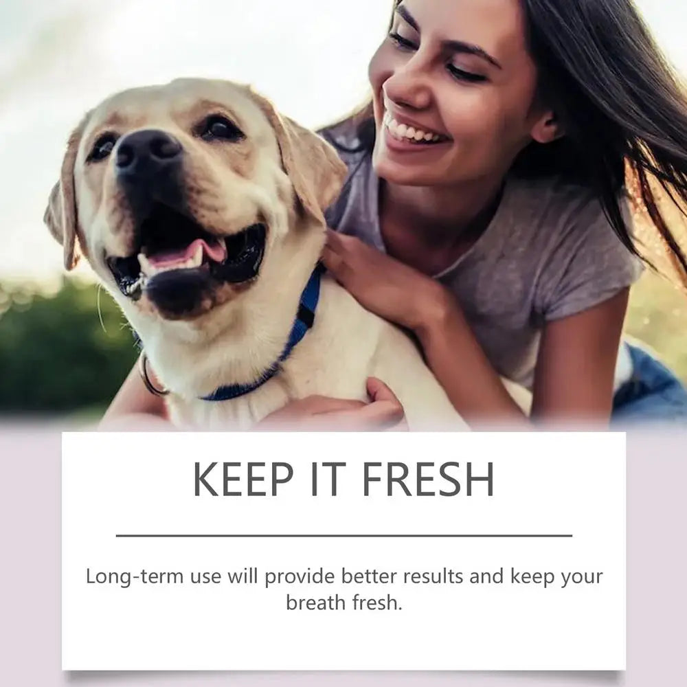 Caneta para limpeza de dentes de animais de estimação Caneta dental para animais de estimação Caneta para escova de dentes de cachorro Caneta refrescante para clareamento de dentes de gato Suprimentos para animais de estimação