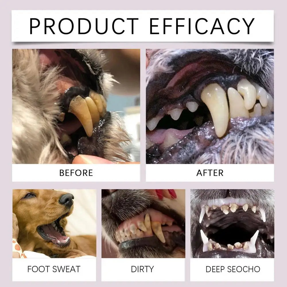 Caneta para limpeza de dentes de animais de estimação Caneta dental para animais de estimação Caneta para escova de dentes de cachorro Caneta refrescante para clareamento de dentes de gato Suprimentos para animais de estimação